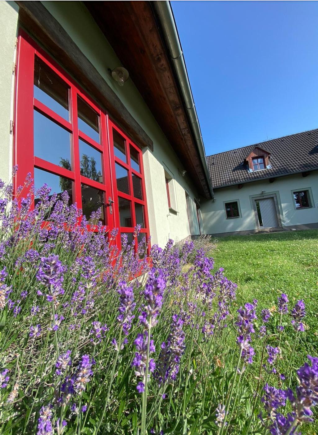 Apartmany Penzion Katerina Nadejkov Exteriör bild
