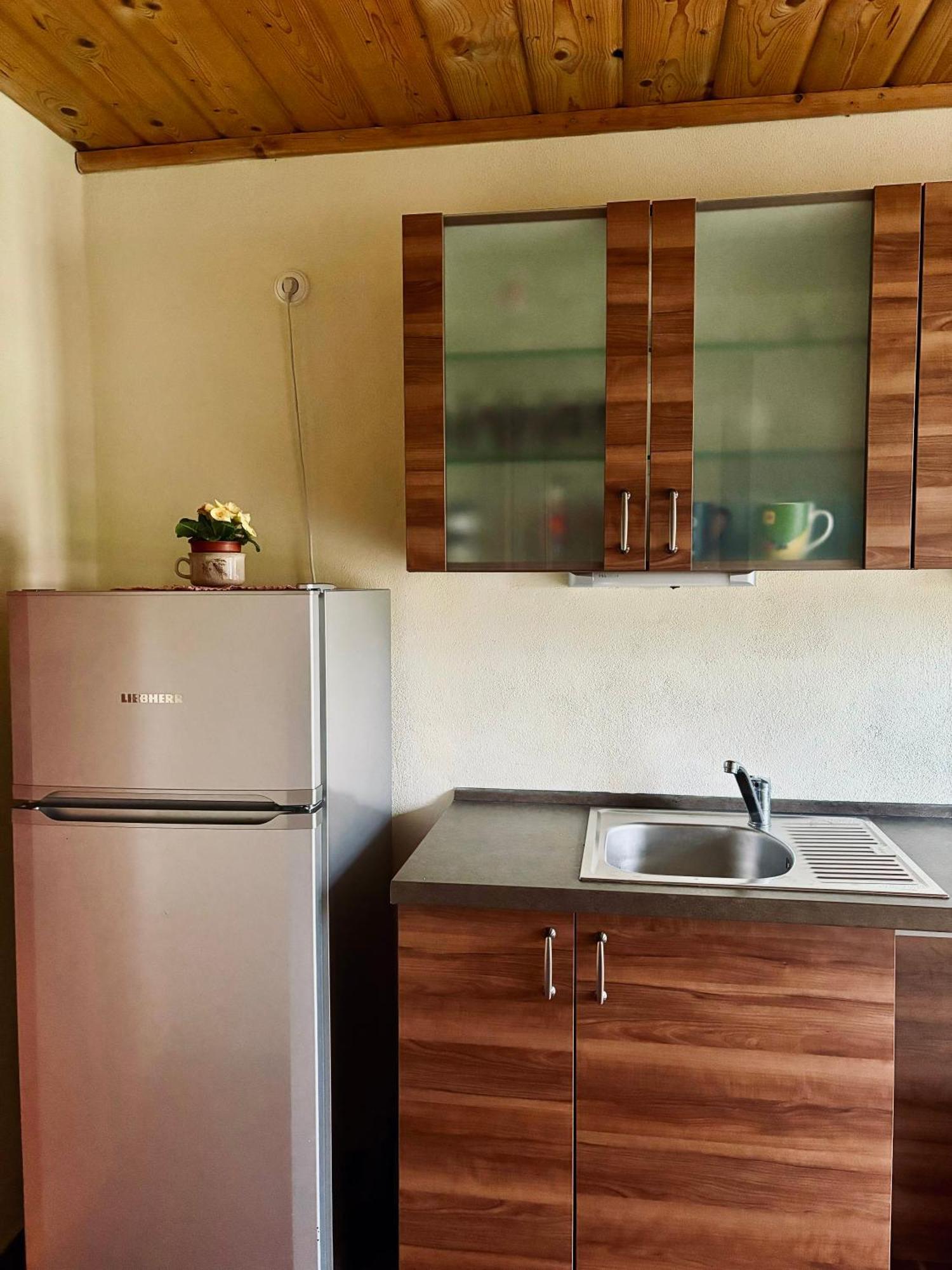 Apartmany Penzion Katerina Nadejkov Exteriör bild